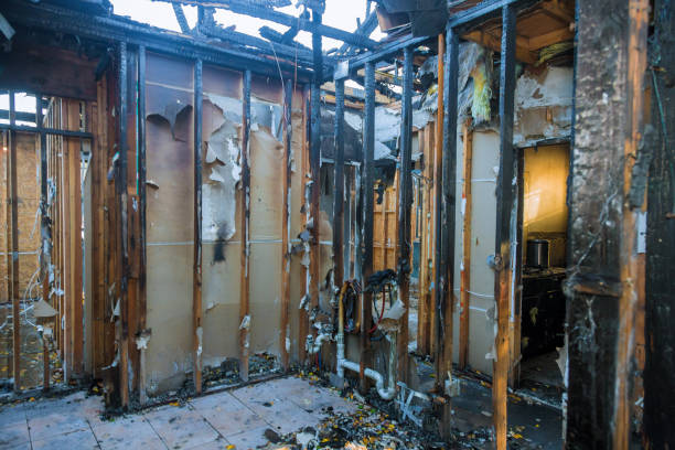 Professional Fire Damage Removal technician working in Mequon, WI